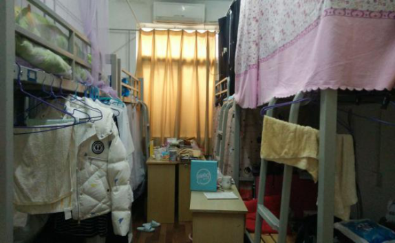 1542163613794073818.png 1542163613794073818.png