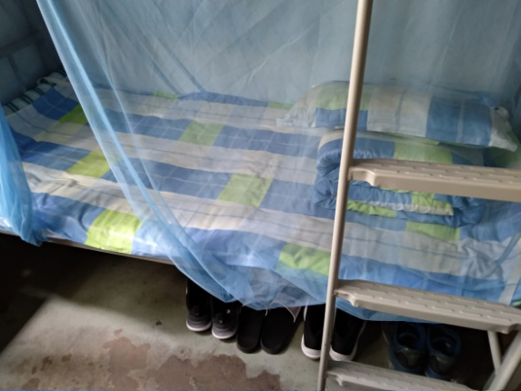 1542163589008017746.png 1542163589008017746.png